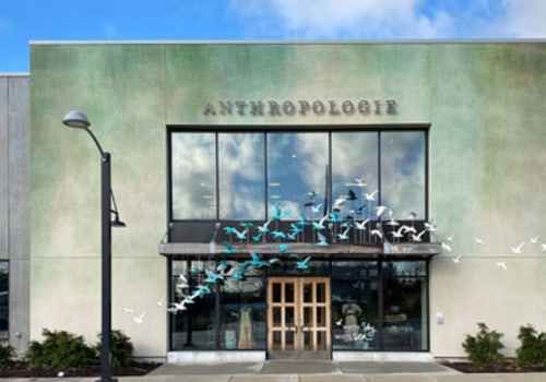 Anthropologie: A Comprehensive Overview